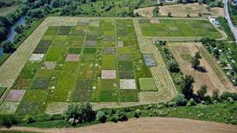 Chapter Five - Plant functional trait identity and diversity effects on soil meso- and macrofauna in an experimental grassland