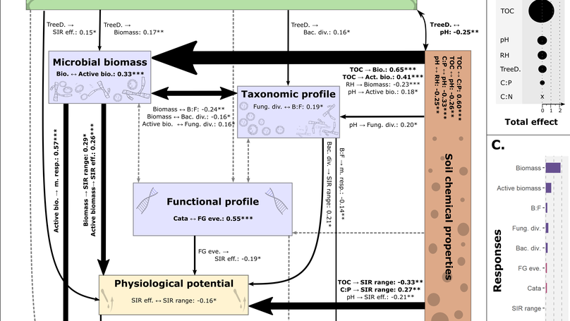 Tree diversity and soil chemical properties drive the linkages between soil microbial community and ecosystem functioning