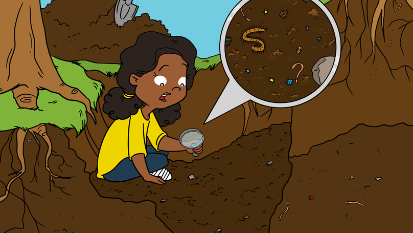 SOIL BIODIVERSITY
