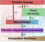 Microclimate modulation: An overlooked mechanism influencing the impact of plant diversity on ecosystem functioning