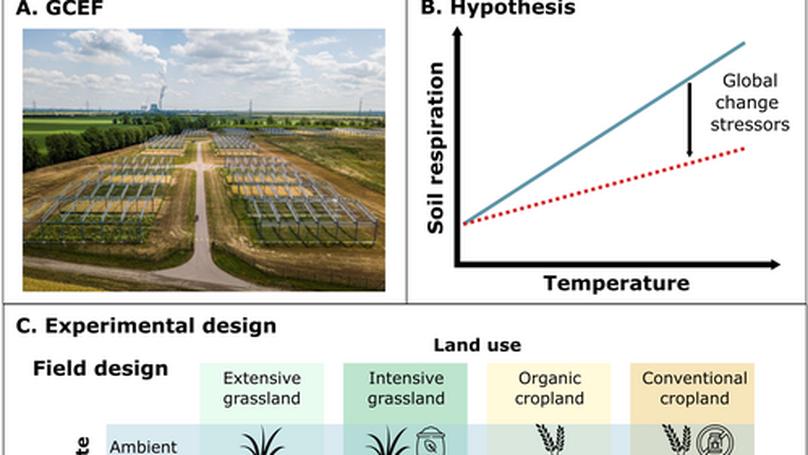 Sustainable Land Use Enhances Soil Microbial Respiration Responses to Experimental Heat Stress