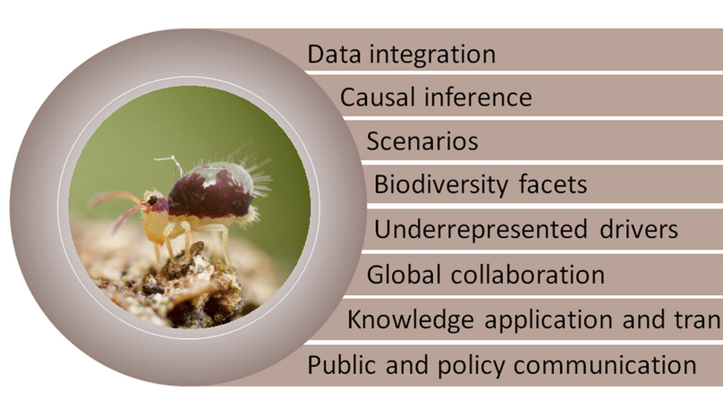 Frontiers in soil ecology—Insights from the World Biodiversity Forum 2022