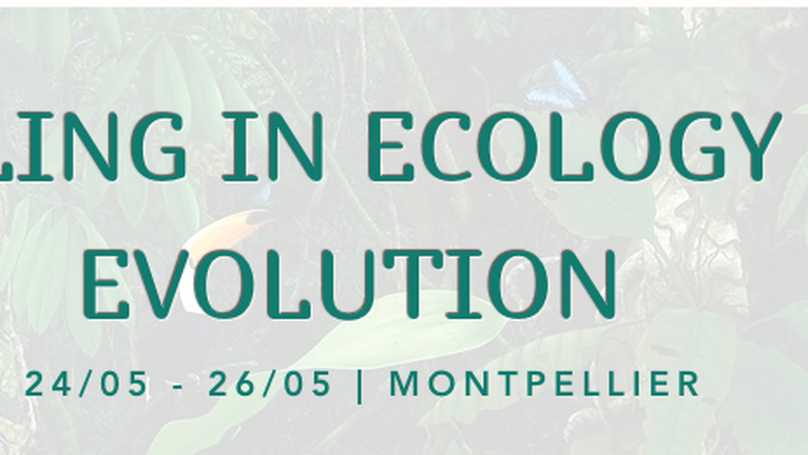 Modeling in Ecology and Evolution